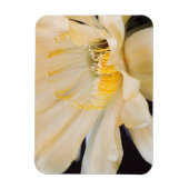 Magnet Flexible Charlemagne Echinopsis en fleurs (Vertical)