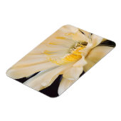 Magnet Flexible Charlemagne Echinopsis en fleurs (Côté Gauche)