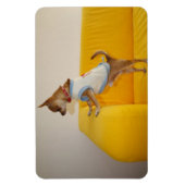 Magnet Flexible Charlie Chihuahua (Vertical)