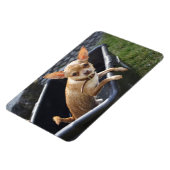 Magnet Flexible Charlie Chihuahua (Côté Gauche)