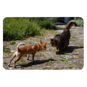 Magnet Flexible Charlie Chihuahua