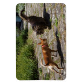 Magnet Flexible Charlie Chihuahua (Vertical)