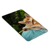 Magnet Flexible Charlie Chihuahua (Côté Droit)