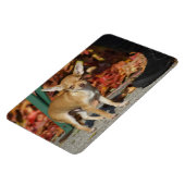 Magnet Flexible Charlie Chihuahua (Côté Gauche)