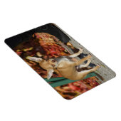 Magnet Flexible Charlie Chihuahua (Côté Droit)