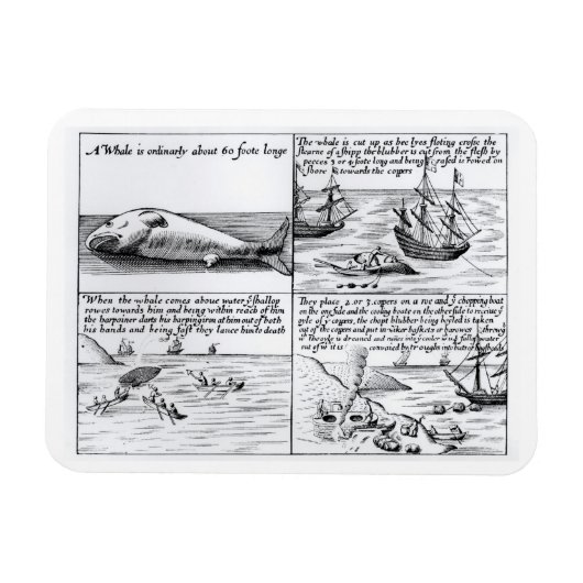 Magnet Flexible Chasse à la baleine à Spitzbergen en 1611 (gravure (Horizontal)