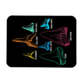 Magnet Flexible Chasse aux dents de requin - Cadeaux de requin fou (Horizontal)