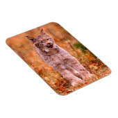Magnet Flexible Chasse Bobcat | Forêt d'automne (Côté Droit)