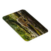 Magnet Flexible Chasse de l'ours esprit blanc (Côté Droit)