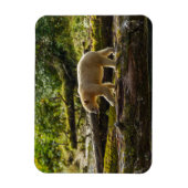 Magnet Flexible Chasse de l'ours esprit blanc (Vertical)