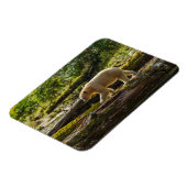 Magnet Flexible Chasse de l'ours esprit blanc (Côté Gauche)