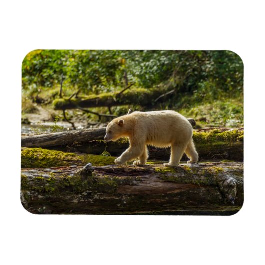 Magnet Flexible Chasses aux ours de l'Esprit Blanc (Horizontal)
