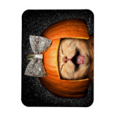 Magnet Flexible Chat Avec Cheveux Citrouilles (Vertical)