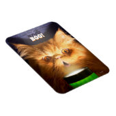 Magnet Flexible Chat avec lampe de poche (Côté Droit)