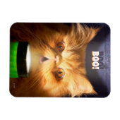 Magnet Flexible Chat avec lampe de poche (Horizontal)