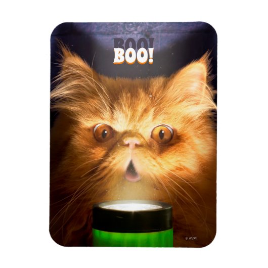 Magnet Flexible Chat avec lampe de poche (Vertical)