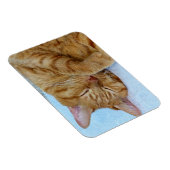 Magnet Flexible Chat couché (Côté Droit)