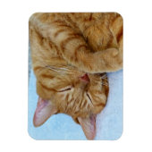 Magnet Flexible Chat couché (Vertical)