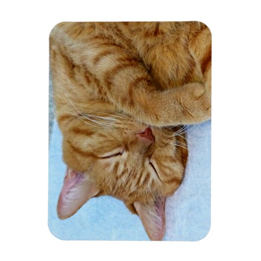 Magnet Flexible Chat couché (Vertical)