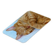 Magnet Flexible Chat couché (Côté Gauche)