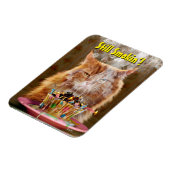 Magnet Flexible Chat Cranky Drôle Avec Cupcake D'Anniversaire Fond (Côté Gauche)