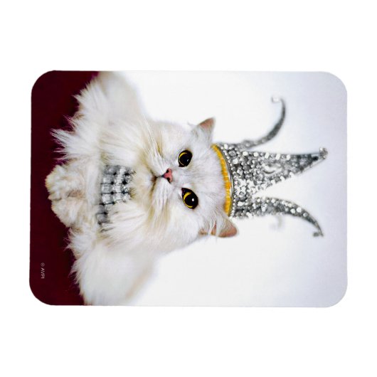 Magnet Flexible Chat dans une couronne (Horizontal)