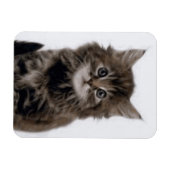 MAGNET FLEXIBLE CHAT DE LA CUISINE (Horizontal)