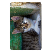 Magnet Flexible Chat de tigre doux bébé (Vertical)