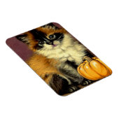 Magnet Flexible Chat d'Halloween Ragdoll vintage (Côté Droit)