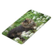 Magnet Flexible Chat domestique à longue aile (Côté Gauche)