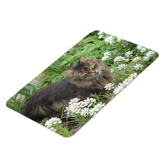 Magnet Flexible Chat domestique à longue aile (Côté Gauche)