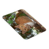 Magnet Flexible Chat Domestique Orange Tigré (Côté Droit)