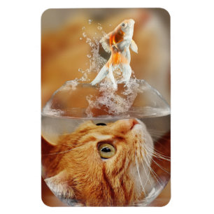 Magnet Flexible Chat et poisson