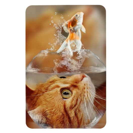 Magnet Flexible Chat et poisson (Vertical)