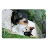 Magnet Flexible Chat Fantôme de l'Opéra (Horizontal)