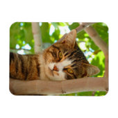 Magnet Flexible Chat grimpeur (Horizontal)
