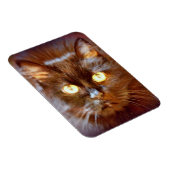 Magnet Flexible chat noir (Côté Droit)