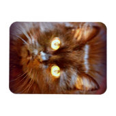 Magnet Flexible chat noir (Horizontal)