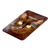 Magnet Flexible chat noir (Côté Gauche)
