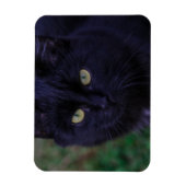 Magnet Flexible Chat Noir Chat Chat Chat Cute Yellow Yellow Yellow (Vertical)