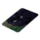 Magnet Flexible Chat Noir Chat Chat Chat Cute Yellow Yellow Yellow (Côté Gauche)