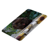 Magnet Flexible Chat noir en colère (Côté Gauche)