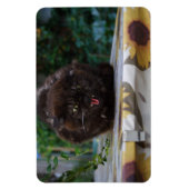 Magnet Flexible Chat noir en colère (Vertical)