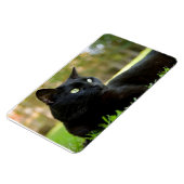 Magnet Flexible Chat noir teint vert jouissant de plein air (Côté Gauche)
