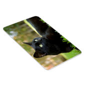 Magnet Flexible Chat noir teint vert jouissant de plein air (Côté Droit)