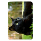 Magnet Flexible Chat noir teint vert jouissant de plein air (Vertical)