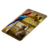 Magnet Flexible Chat & Oiseaux (Côté Gauche)