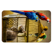 Magnet Flexible Chat & Oiseaux (Horizontal)