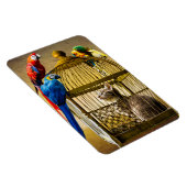 Magnet Flexible Chat & Oiseaux (Côté Droit)