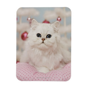Magnet Flexible Chat persan se reposant sur le coussin rose